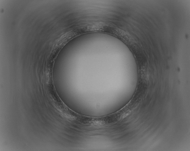 X0000073710741200608171137