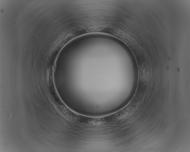 X0000073710742200608171137