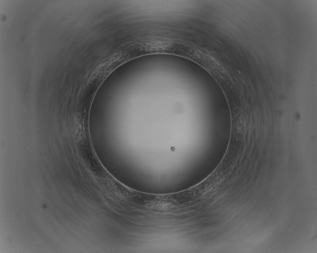 X0000073710743200608171138