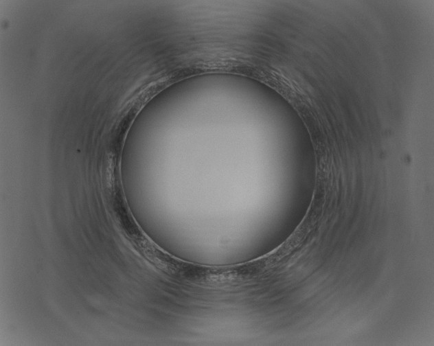 X0000073710744200608171138