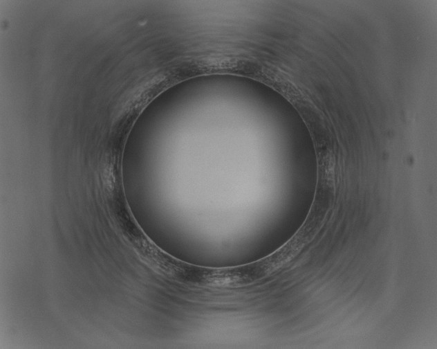 X0000073710746200608171138