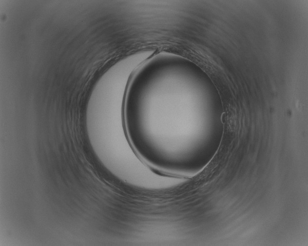 X0000073710748200608171138