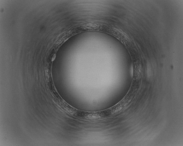 X0000073710749200608171138