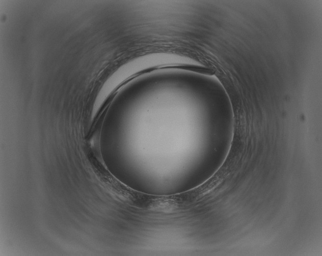 X0000073710750200608171138