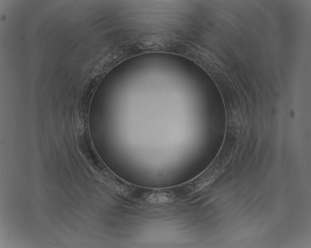 X0000073710751200608171138