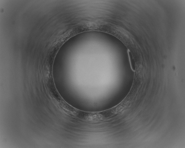 X0000073710752200608171138