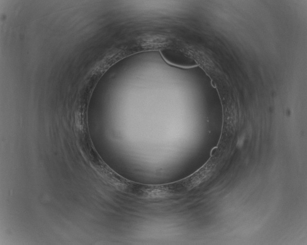 X0000073710755200608171138