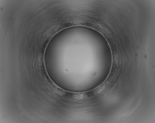 X0000073710757200608171138