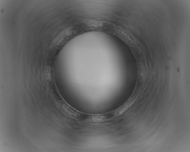 X0000073710758200608171138