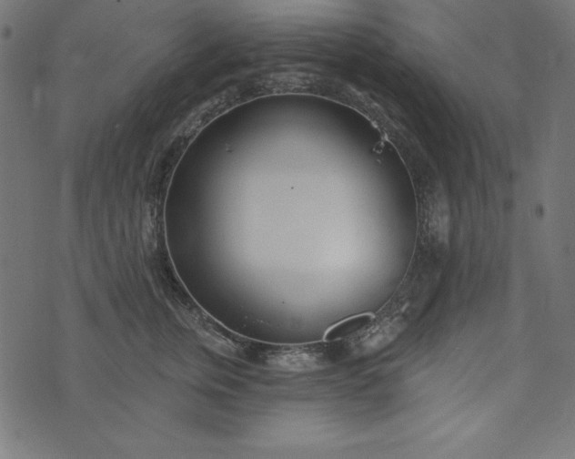 X0000073710759200608171138