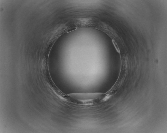 X0000073710760200608171138