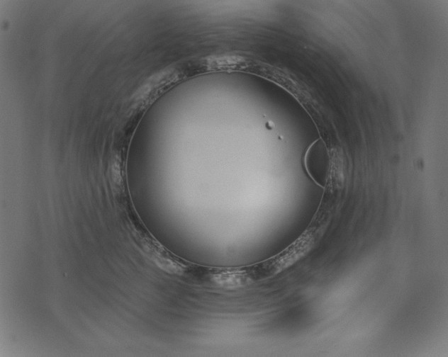 X0000073710761200608171138