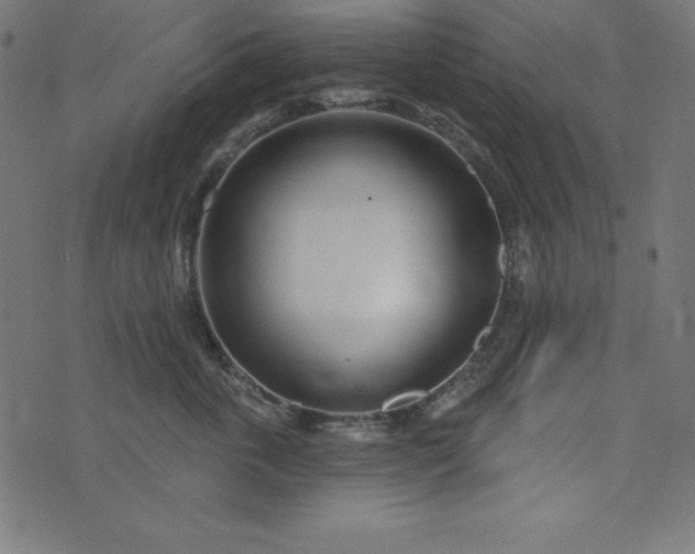 X0000073710763200608171138