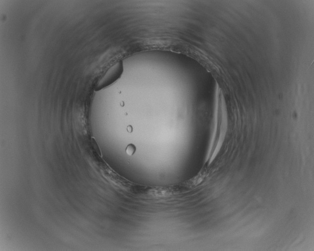 X0000073710764200608171138