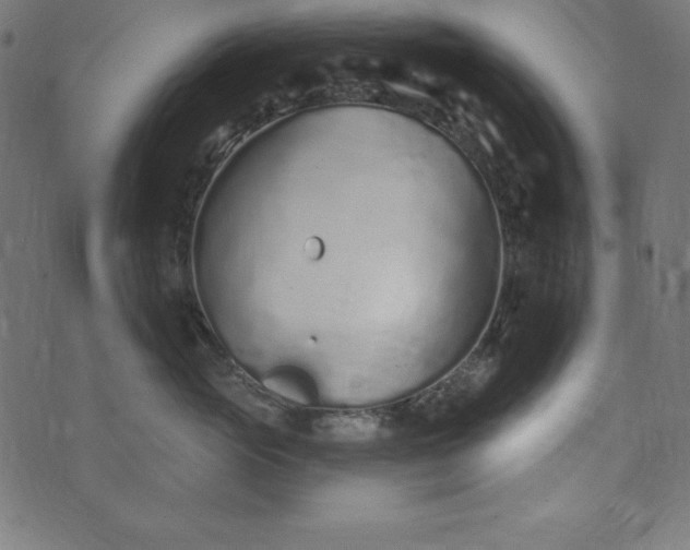 X0000073710765200608171138