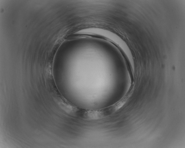 X0000073710766200608171138