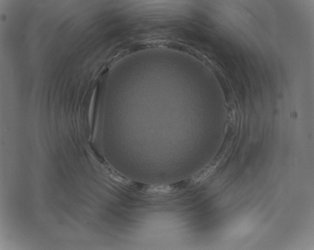 X0000073710767200608171138