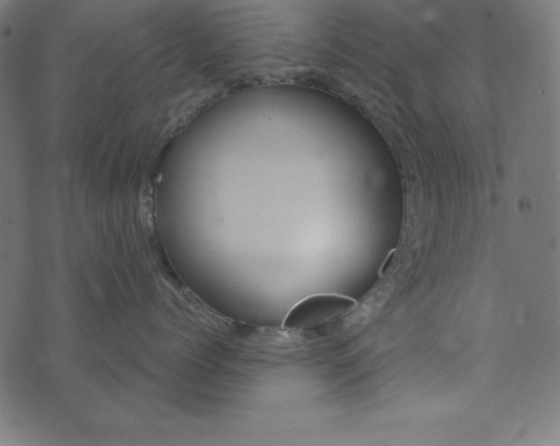 X0000073710768200608171138