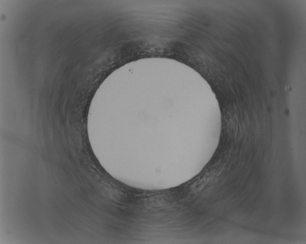 X0000073710769200608171137