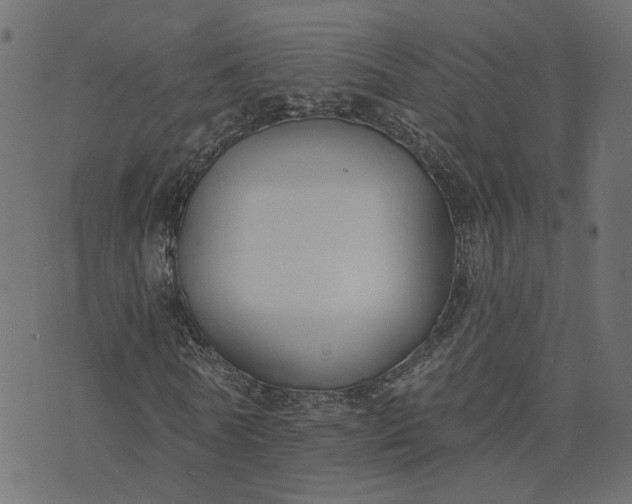 X0000073710770200608171137