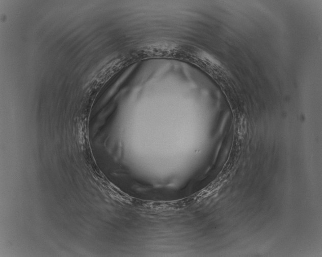 X0000073710774200608171137