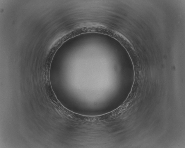 X0000073710775200608171137