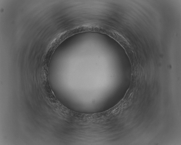 X0000073710776200608171137