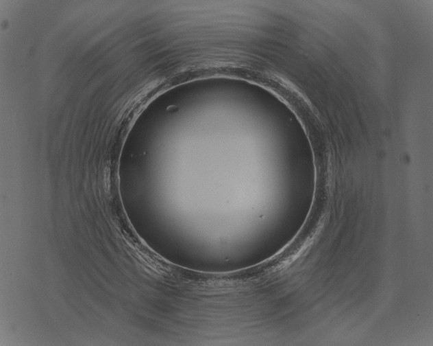 X0000073710777200608171137