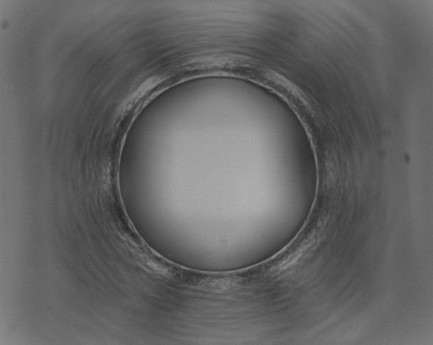 X0000073710778200608171137