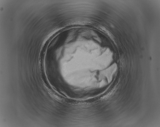 X0000073710779200608171137