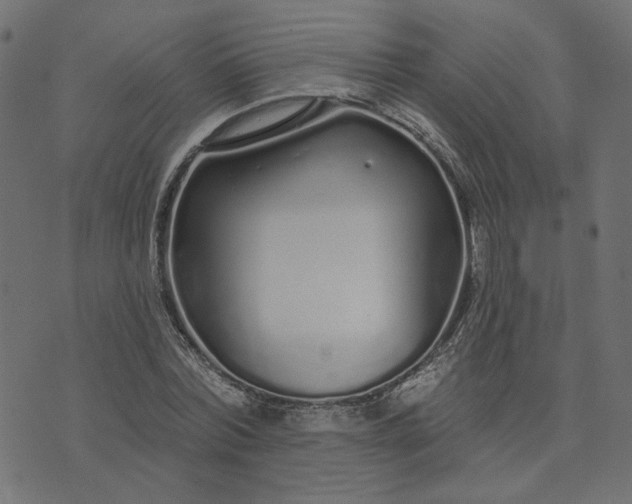 X0000073710780200608171137