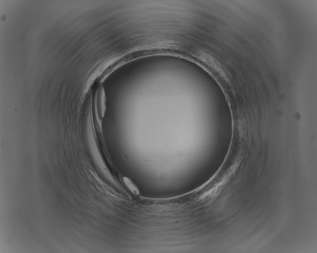 X0000073710781200608171137