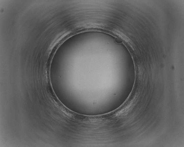 X0000073710782200608171137