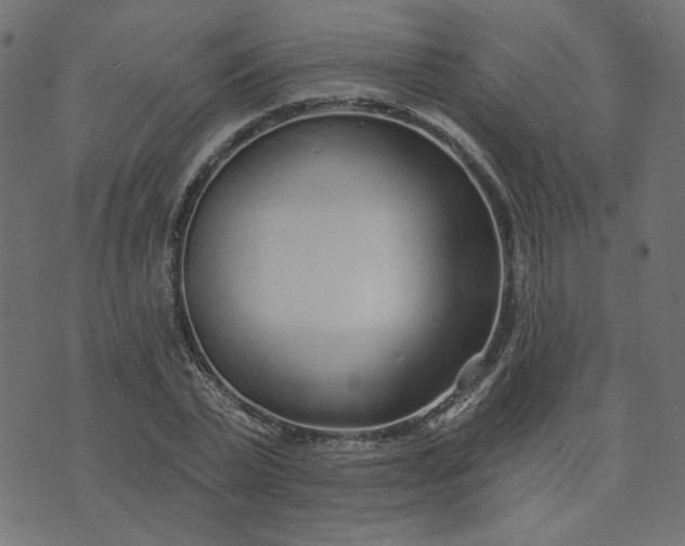 X0000073710783200608171137