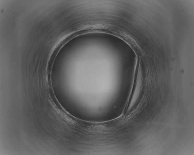 X0000073710784200608171137