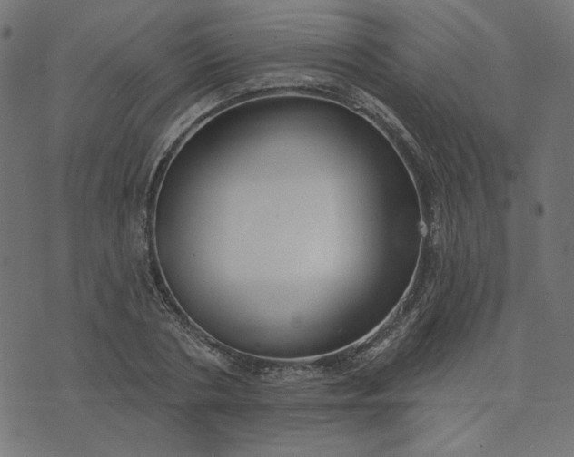 X0000073710786200608171137