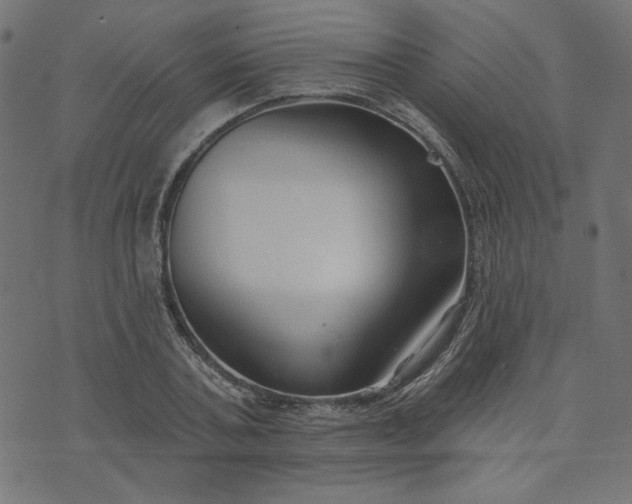 X0000073710787200608171137