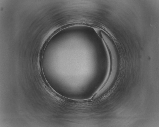 X0000073710788200608171137