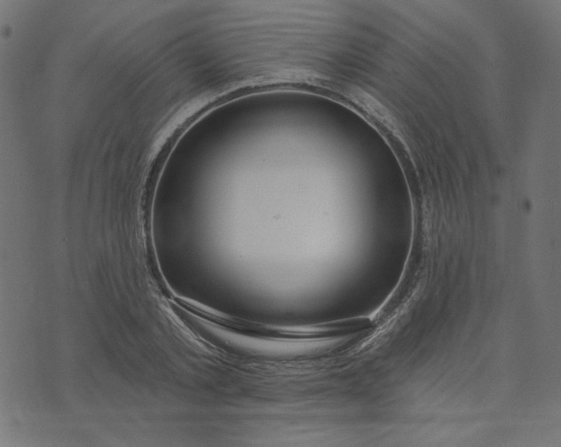 X0000073710789200608171137