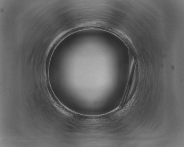 X0000073710792200608171137