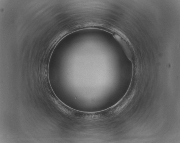 X0000073710793200608171137