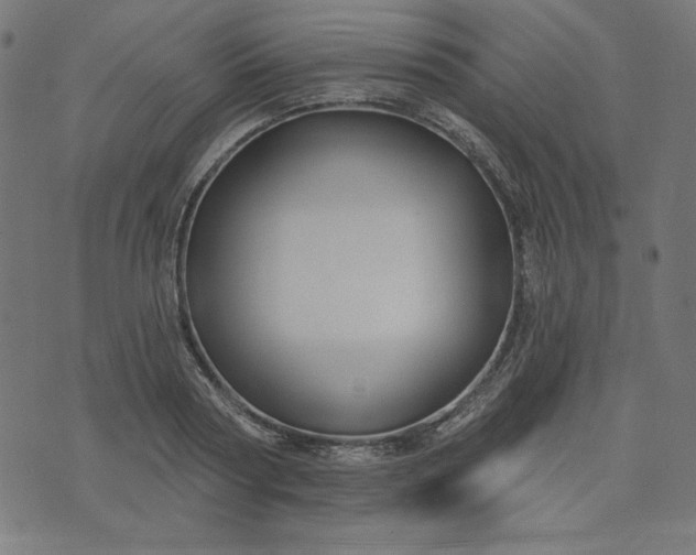 X0000073710794200608171137