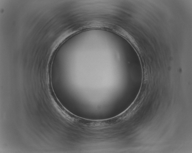 X0000073710795200608171137