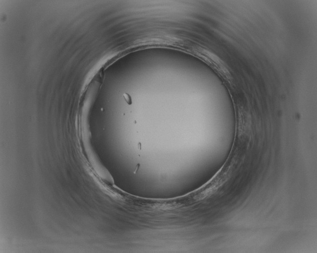 X0000073710796200608171137