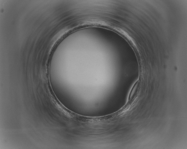 X0000073710799200608171137