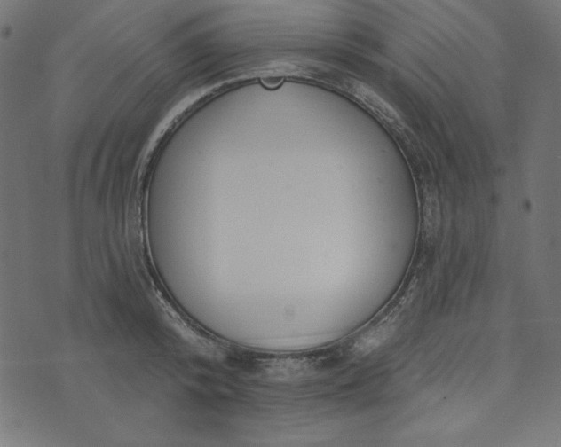 X0000073710800200608171137