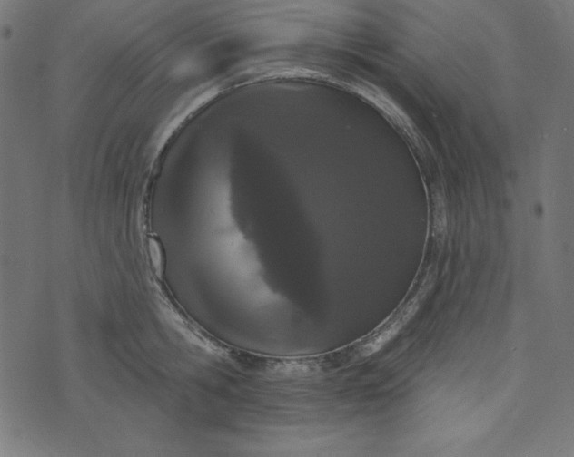 X0000073710806200608171137