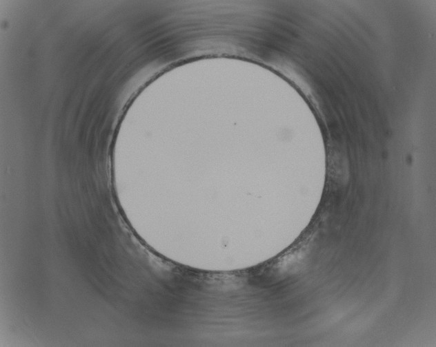 X0000073710807200608171137