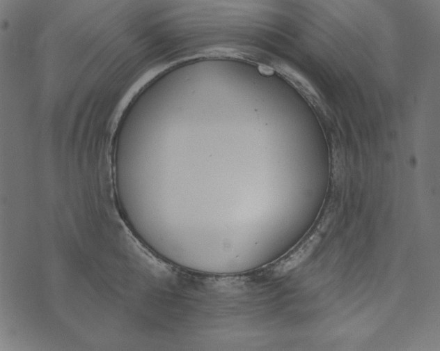 X0000073710808200608171136