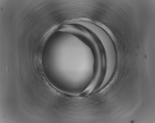 X0000073710809200608171136